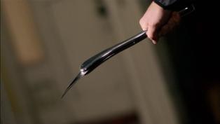 Visitor switchblade