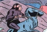 Valley of the Dinosaurs: Strange Marauders