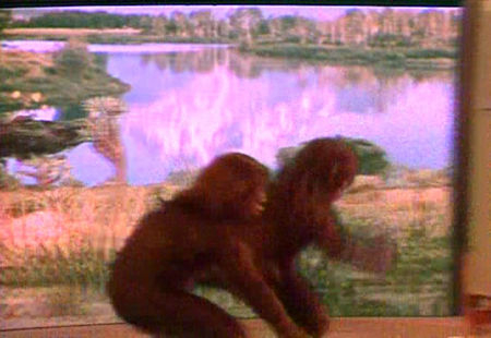 Ta and Sa and bluescreen