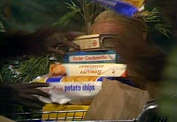 Pylon Express Convenience Store